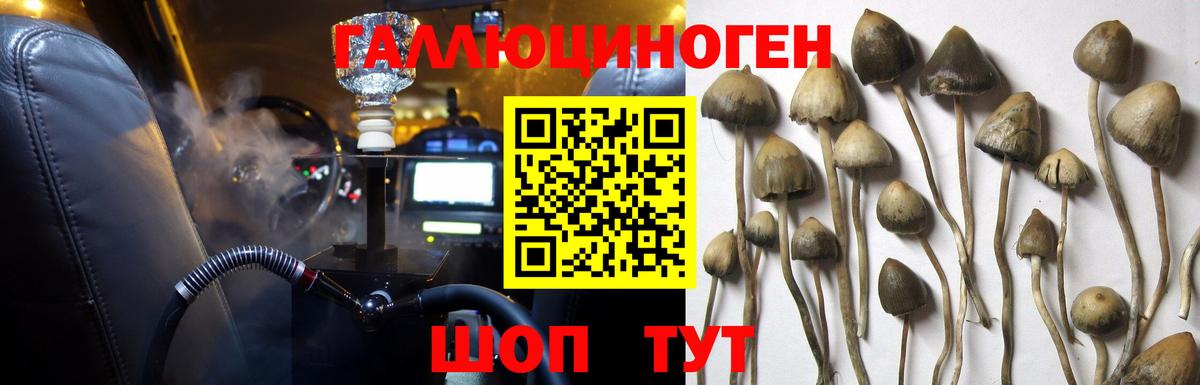 Псилоцибиновые грибы Cubensis  Вход с VPN  Галлюциногенные грибы прущие грибы  Сургут 