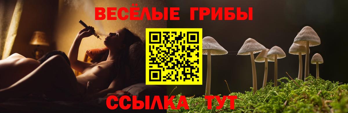 Галлюциногенные грибы GOLDEN TEACHER Сургут